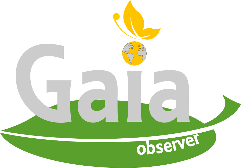 Gaia Observer